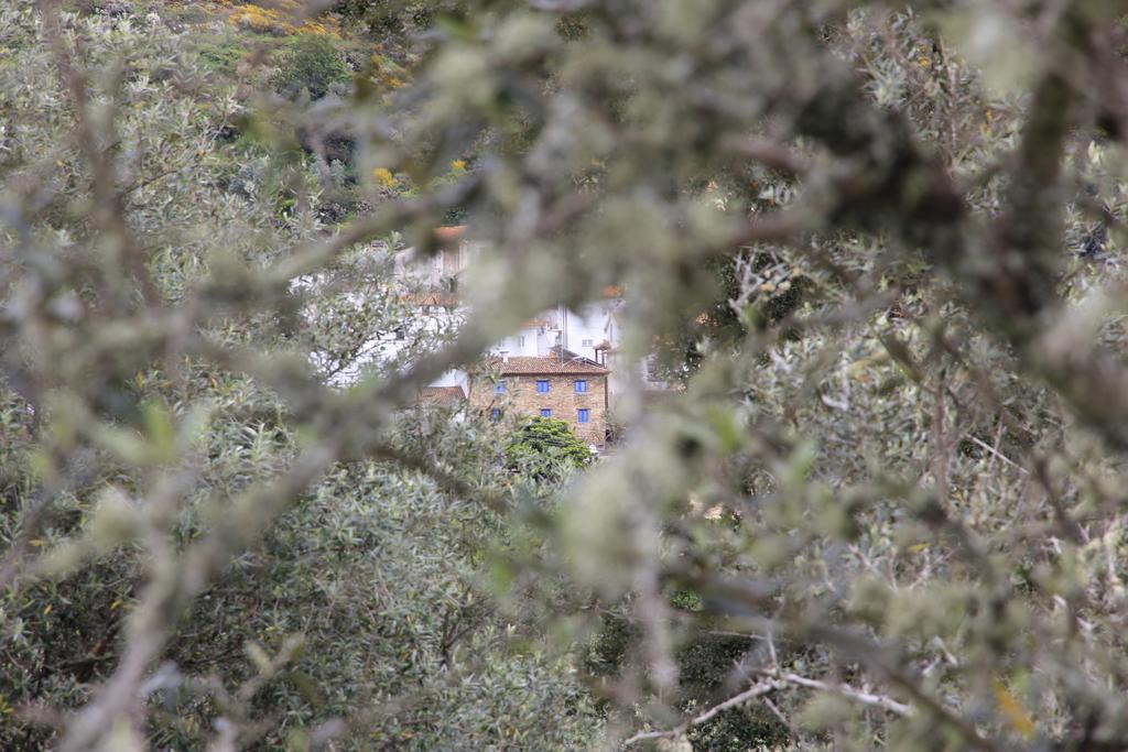 Campus Natura Arganil Exterior foto